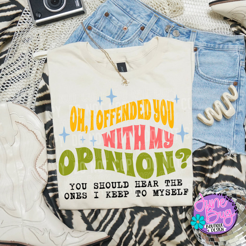 Oh I Offended You