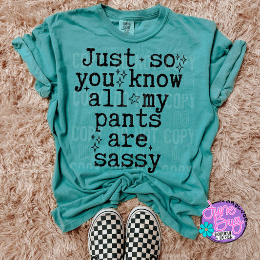 Just So You Know All My Pants Are Sassy