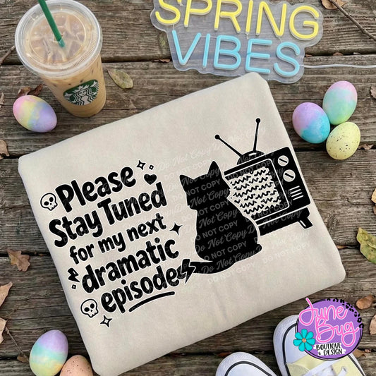 Please Stay Tuned for My Next Dramatic Episode