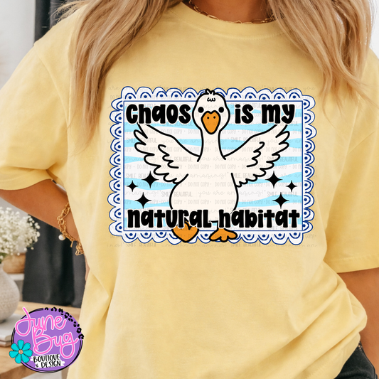Chaos is my Natural Habitat